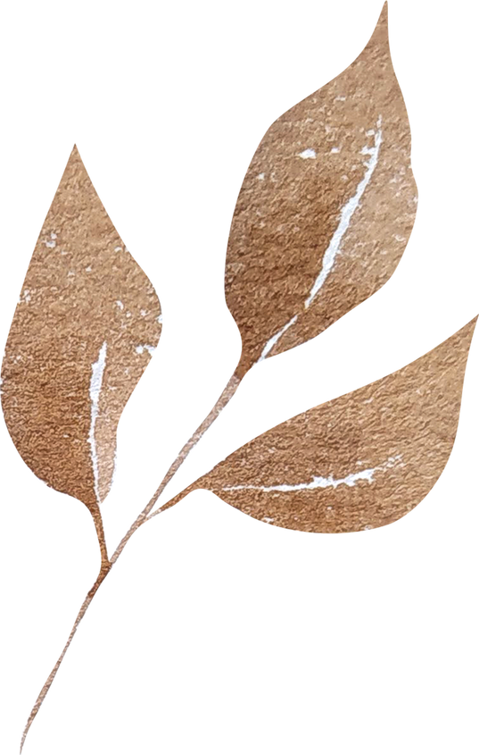 Watercolor brown boho leaves